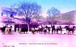 Miliana - Remonte